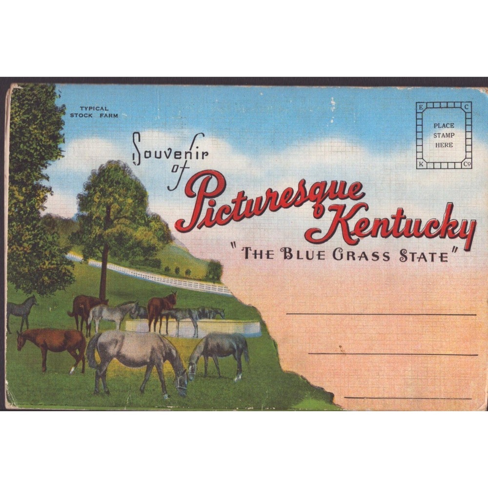 Vintage Souvenir of Picturesque Kentucky Blue Grass State Mailer Folder Folder